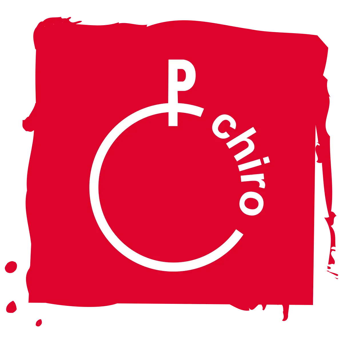Chiro Harlekijn