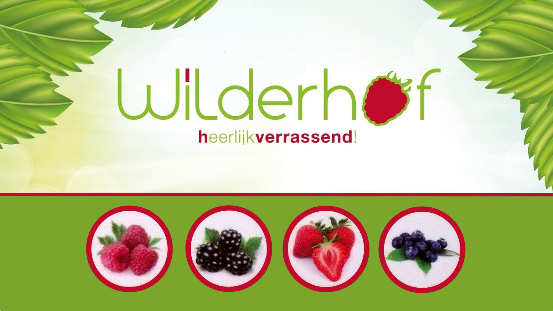 wilderhog logo